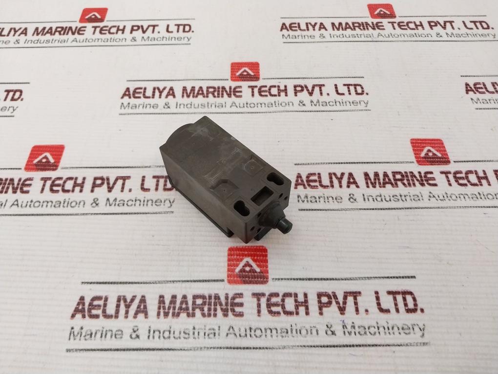 Schmersal Ts 236-11Z Limit Switch 230/220Vac