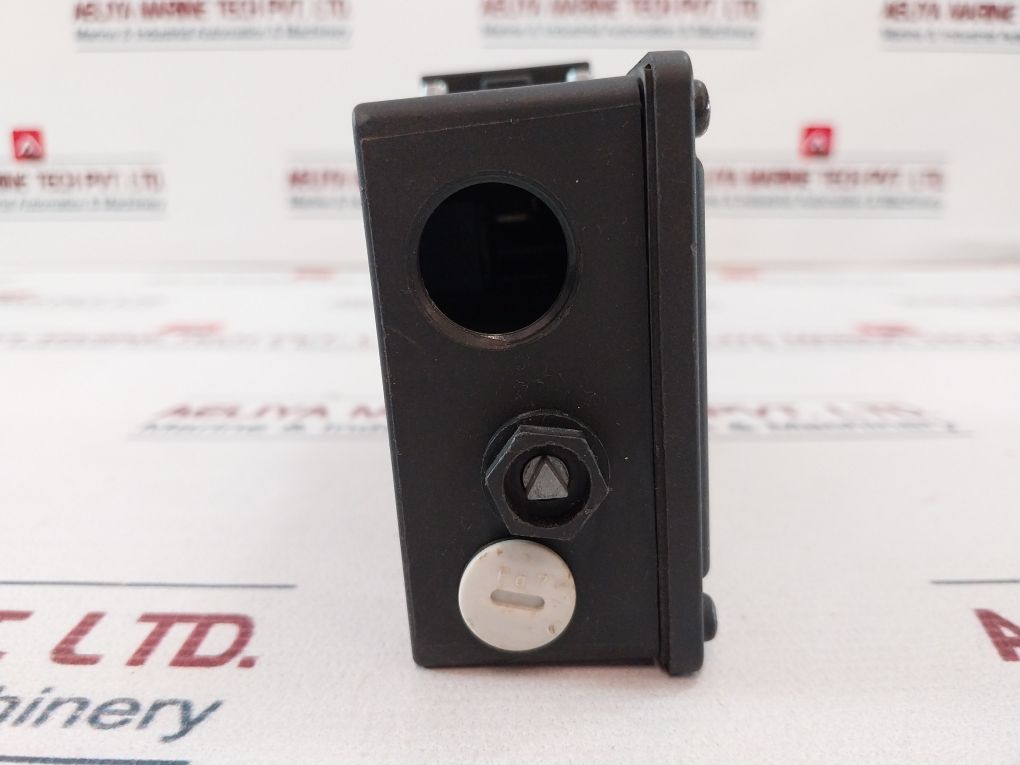 Schmersal Tzf3Oe/1Ss24Vdc-2917 Solenoid Interlock Switch