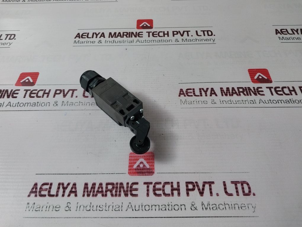 Schmersal Z4K 236-11Z-m20