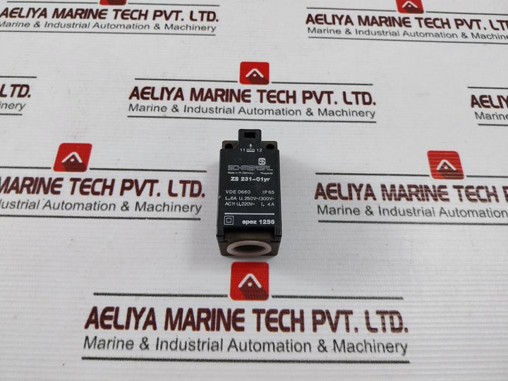 Schmersal Zs 231-01Yr Limit Switch 6A 250V Ac