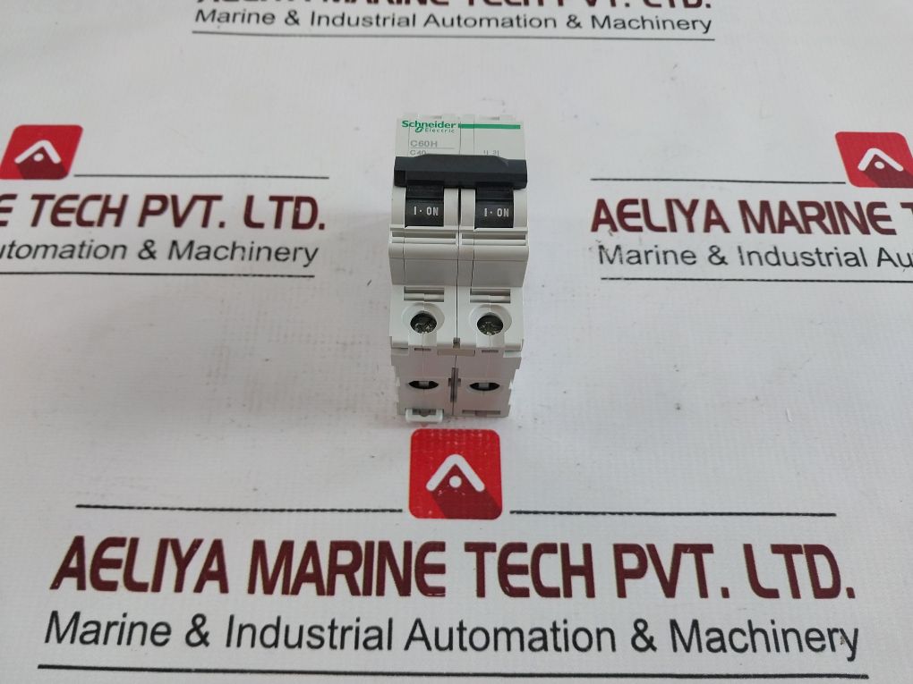 Schneider Electric C60H
