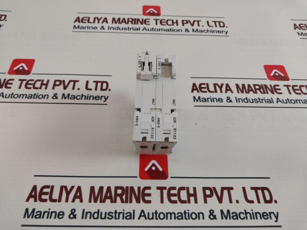 Schneider Electric C60H C10