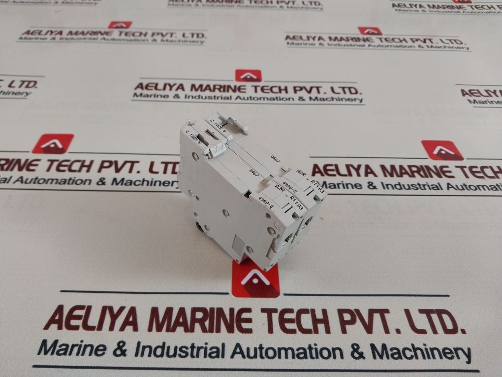 Schneider Electric C60H C10