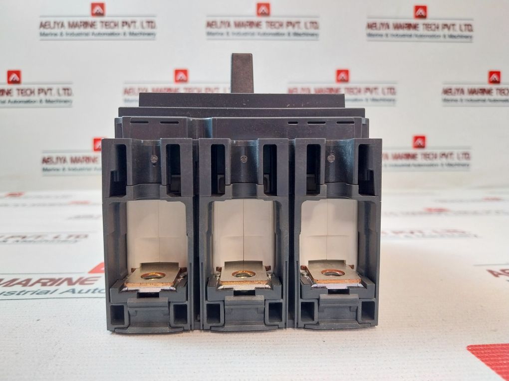 Schneider Electric Nsx 100F Circuit Breaker/Switch-disconnector Cat A