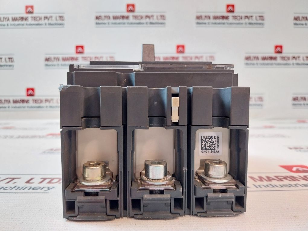 Schneider Electric Nsx 250F Circuit Breaker/Switch-disconnector 50/60Hz