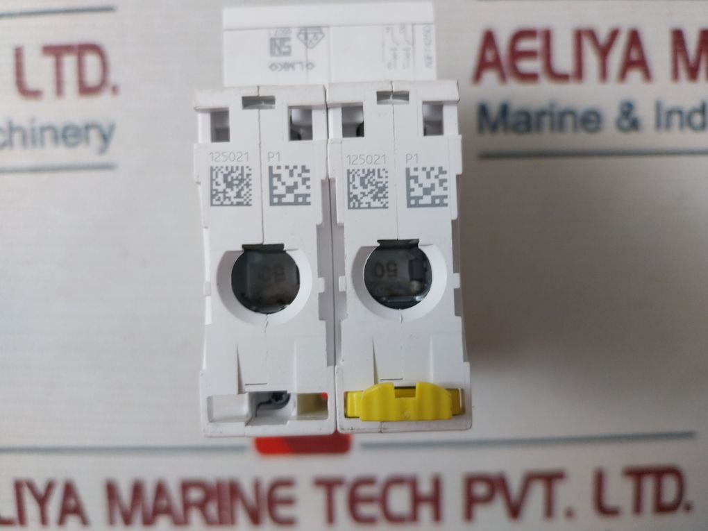 Schneider Electric C50A Miniature Circuit Breaker Ic60N