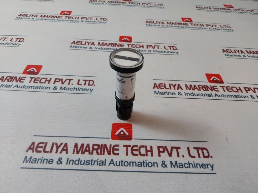 Secure Pi 39 Position Indicators