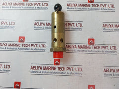 Seetru Bs6759 Saftey Valve 0.81-6.3 Bar