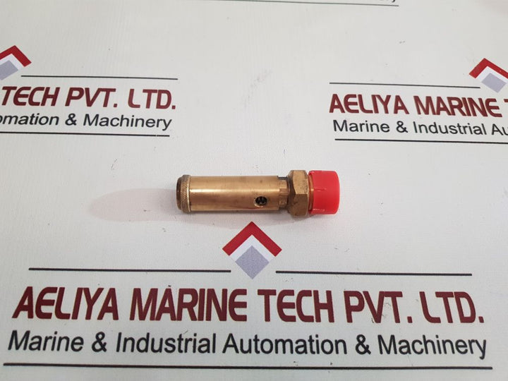 Seetru Tuv Sv 17 893 8 Relief Valve
