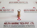 Seetru Tuv Sv 17 893 8 Relief Valve new