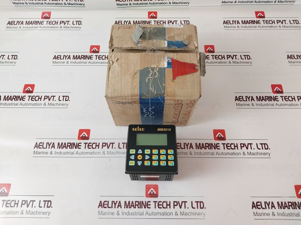 Selec Mm3010A-di13-dr08-ai02-270V
