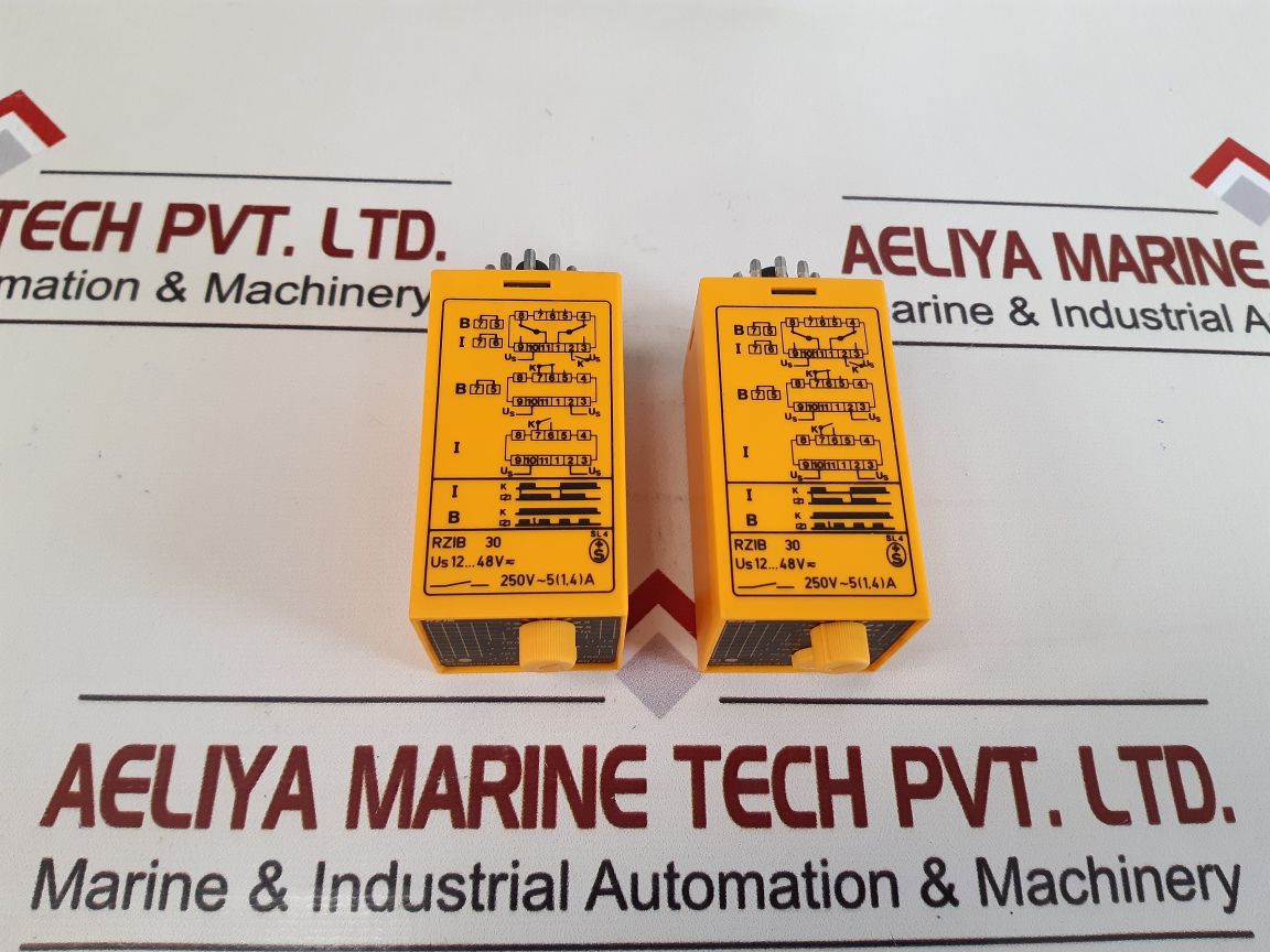 Selectron Rzib 30 Time Relay
