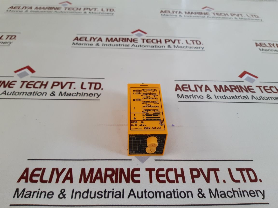 Selectron Rzib 30 Time Relay