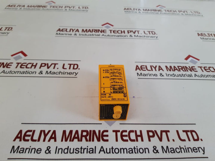 Selectron Rzib 30 Time Relay