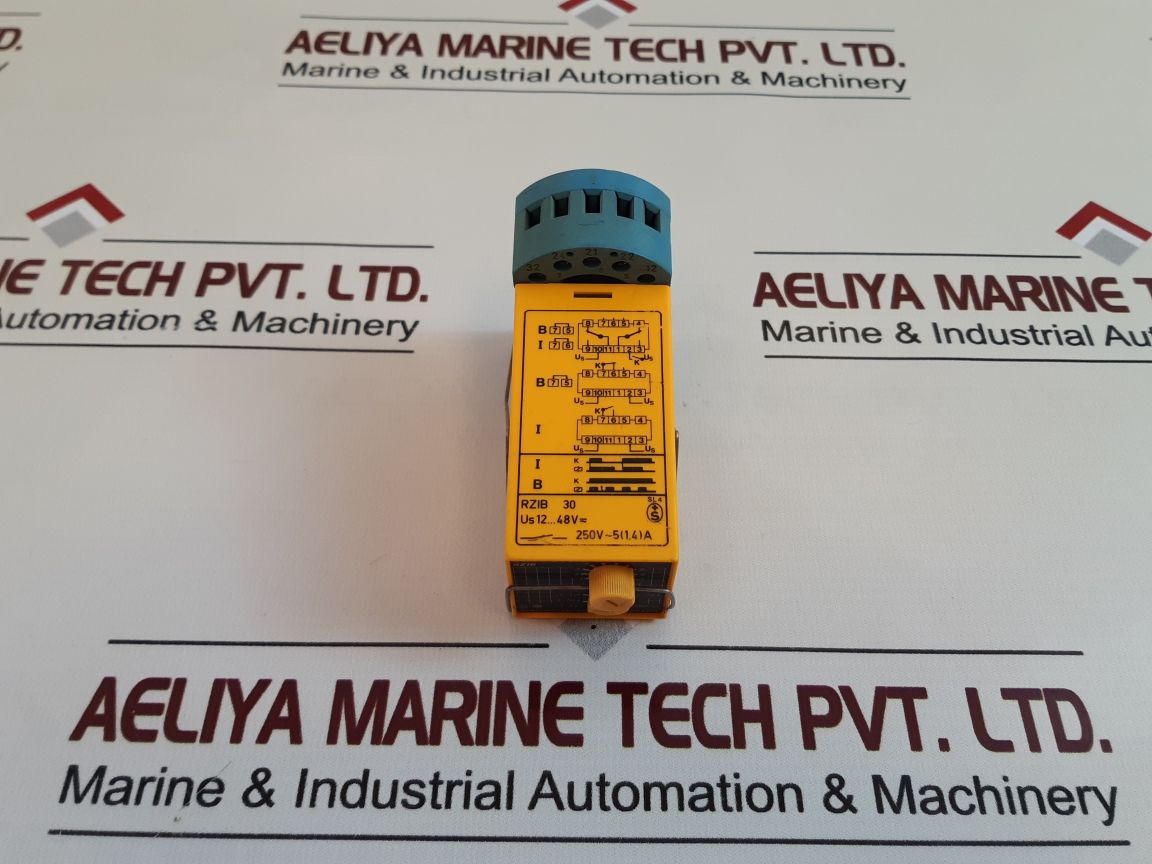 Selectron Rzib 30 Time Relay
