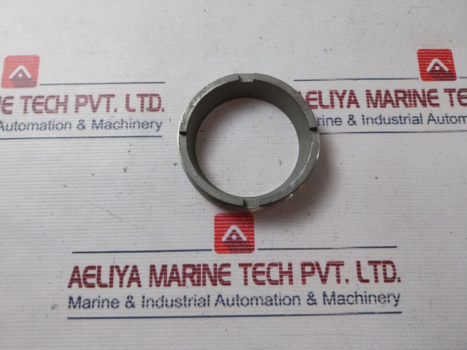 Sereg Vannes 53703451