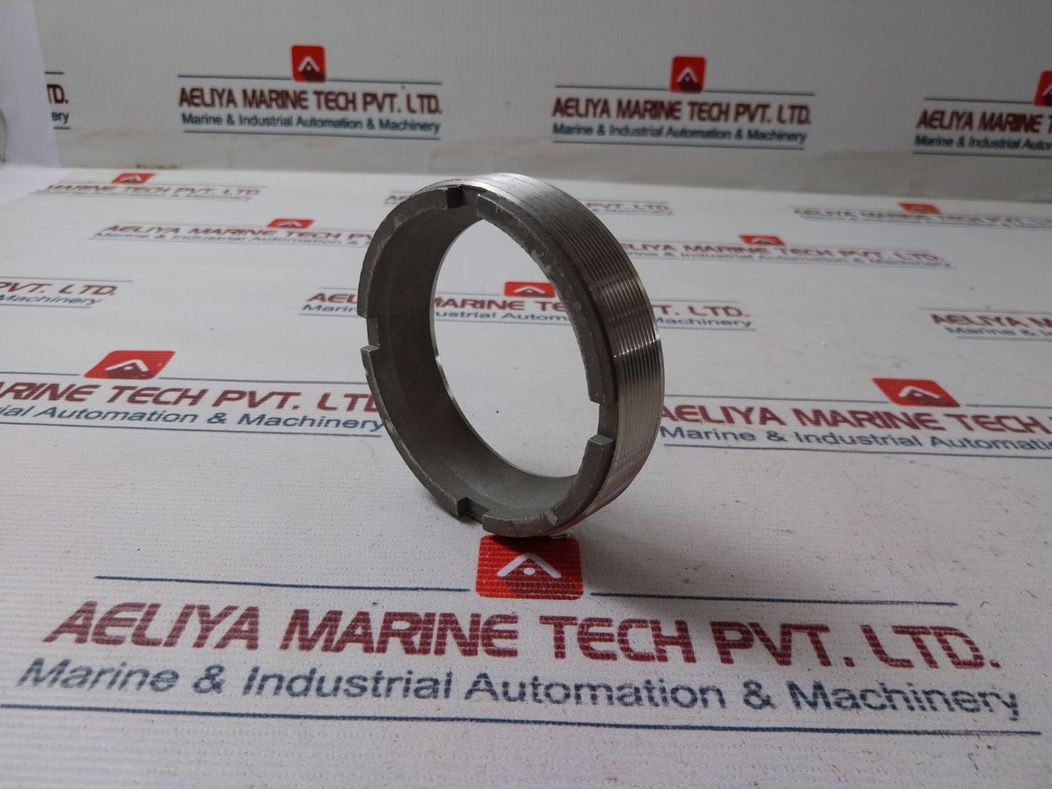 Sereg Vannes 53703451