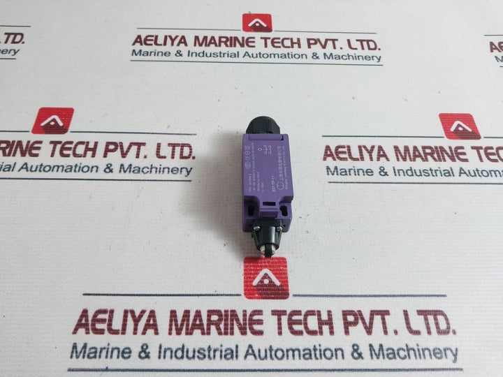 Shanghai Huasheng 237-tp-11 Buffer Limit Switch