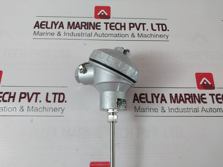 Shanghai Pt100 Temperature Sensor Wzp-192 -200-+420°C