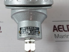 Shanghai Wzp-192 Thermal Resistance Temperature Sensor Pt100