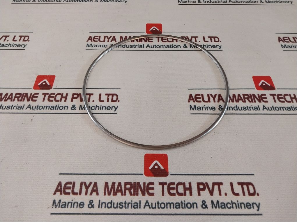 Shinko 7074-12 Governor Valve Liner Gasket