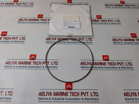 Shinko 7074-12 Governor Valve Gasket
