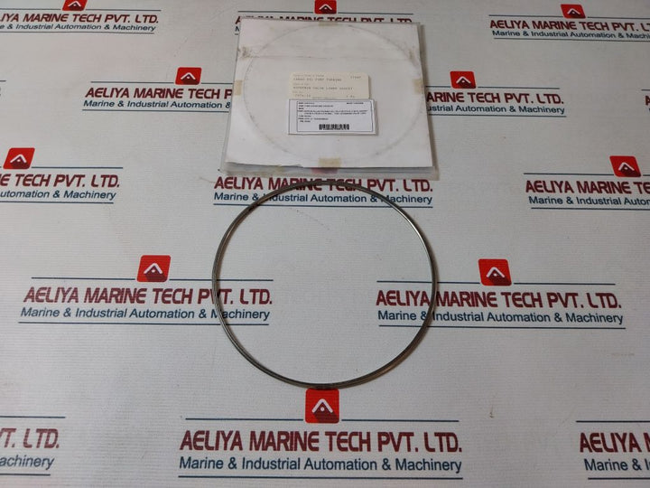 Shinko 7074-12 Governor Valve Gasket
