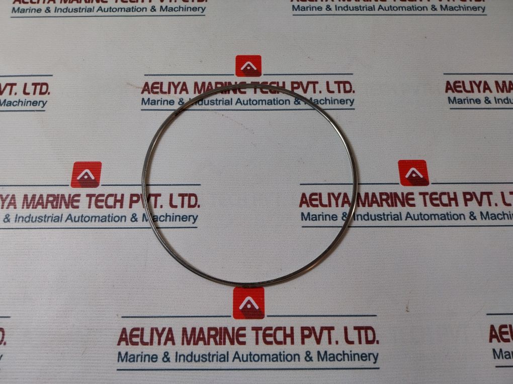 Shinko 7074-12 Governor Valve Gasket 17087