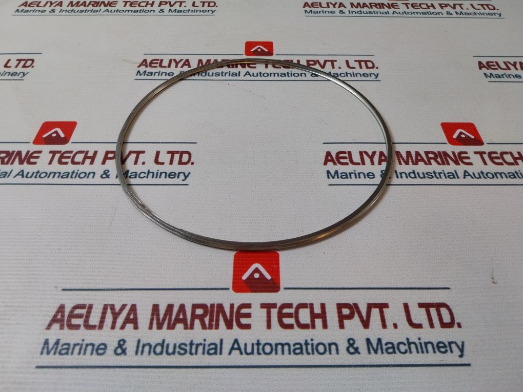 Shinko 7074-12 Governor Valve Gasket 17087