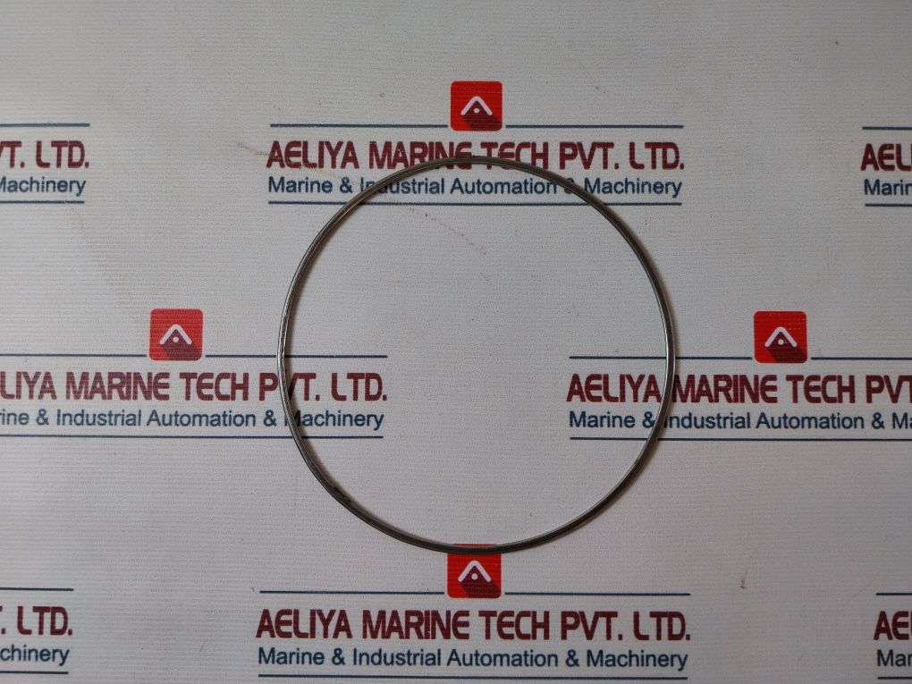 Shinko 7074-12 Governor Valve Gasket 17087