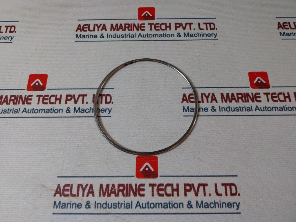 Shinko 7074-12 Governor Valve Liner Gasket
