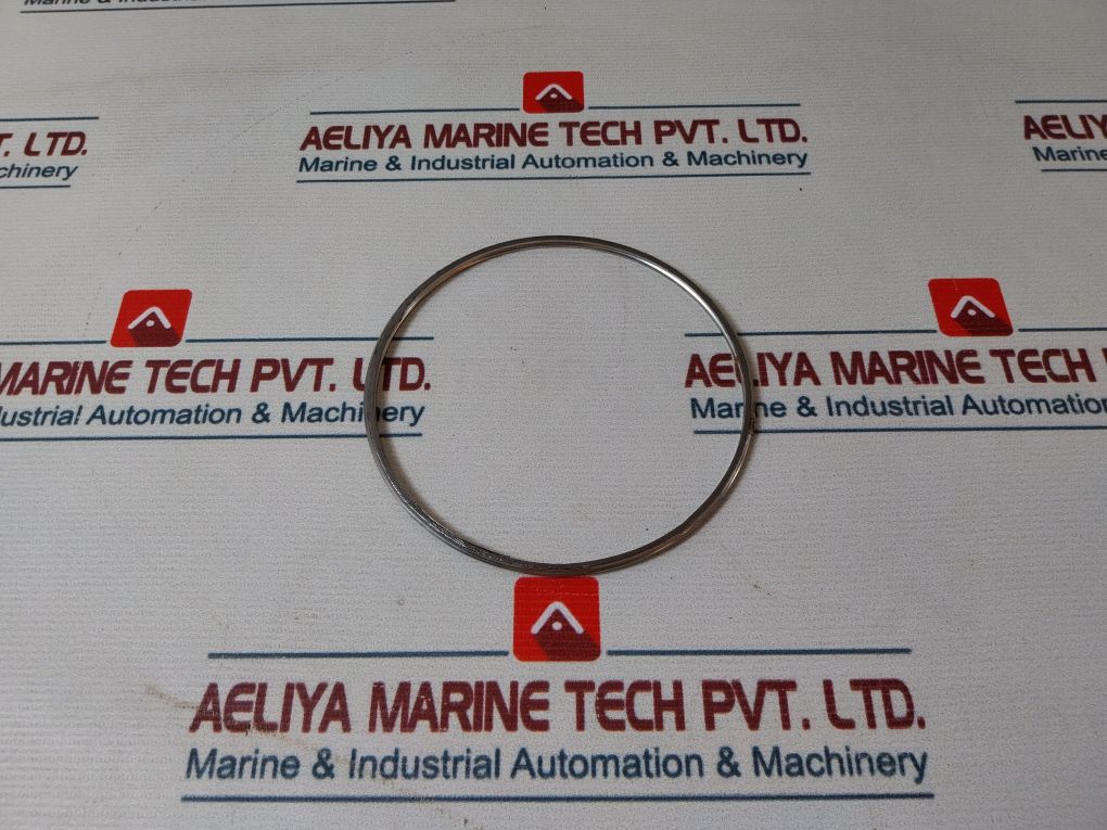 Shinko 7074-12 Governor Valve Liner Gasket 26098