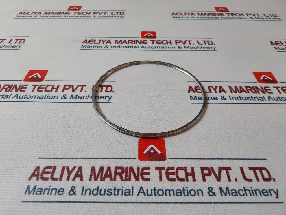 Shinko 7074-12 Governor Valve Liner Gasket 26098