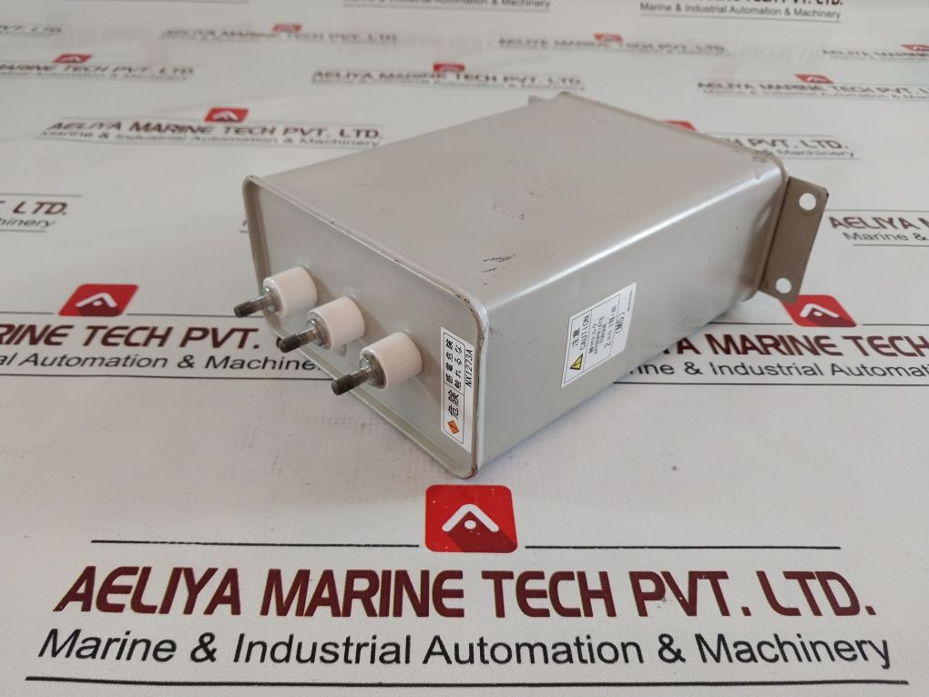 Shizuki Electric Rg-2 Capacitor