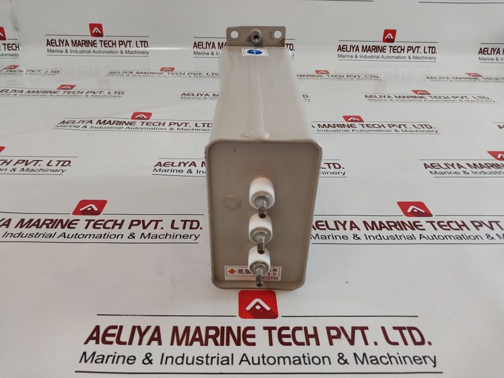 Shizuki Electric Rg-2 Capacitor