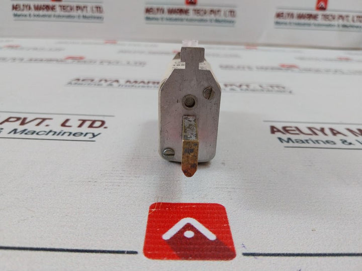 Siba 20 002 13 Fuse 100A