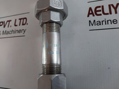Siemens 316L Transmitter