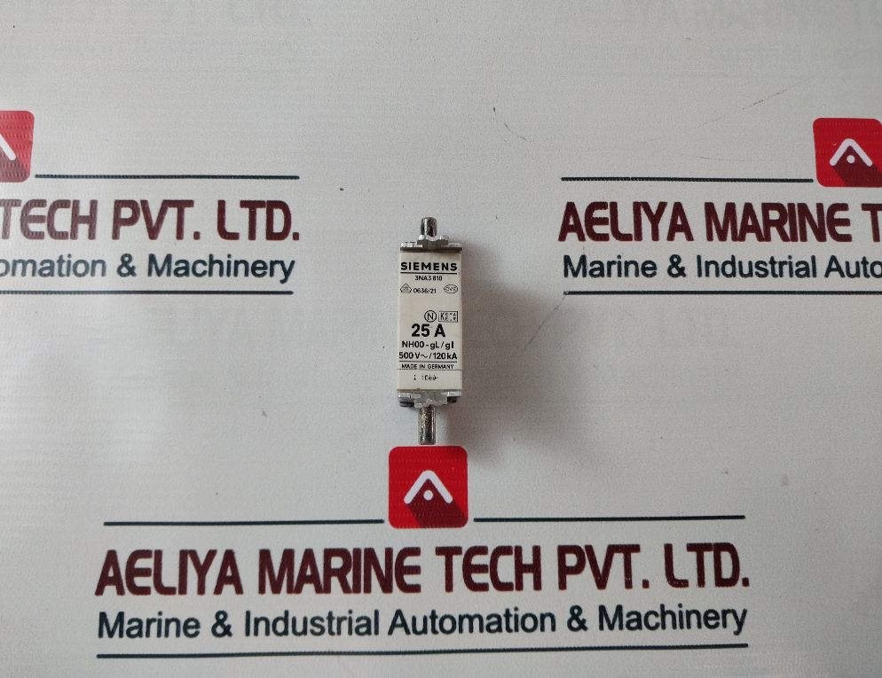 Siemens 3Na3 810
