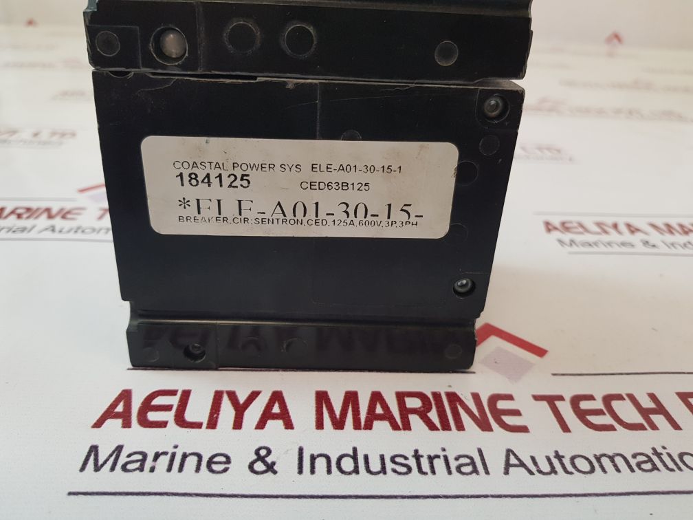 Siemens Ced63B125 Circuit Breaker