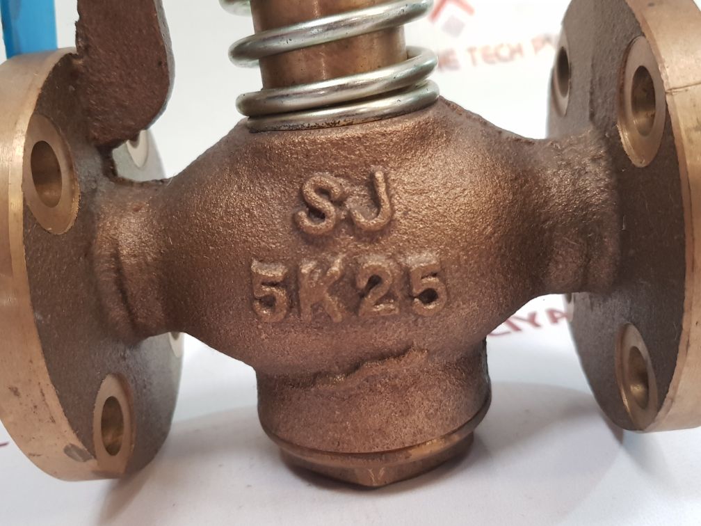 Globe Valve Sj 5K25