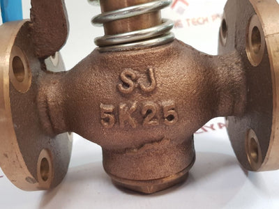 Globe Valve Sj 5K25