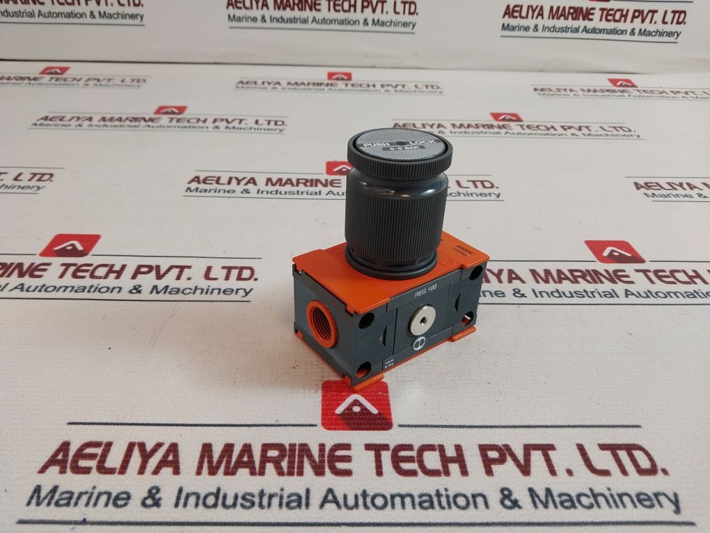 Skillair Reg 100 Push Lock 0-8 Bar Regulator