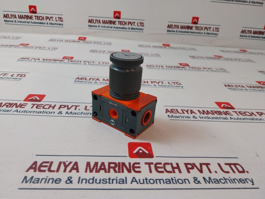 Skillair Reg 100 Regulator