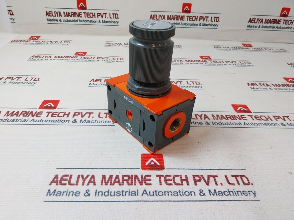 Skillair Reg 300 Air Pressure Regulator