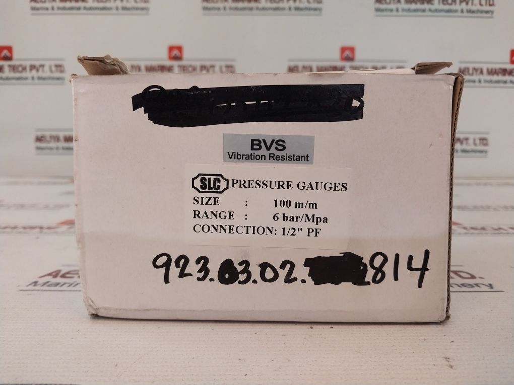 Slc 100M/M Pressure Gauge 20130620