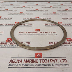 Smalley Whm-850-s02 Internal Seal Ring 709503