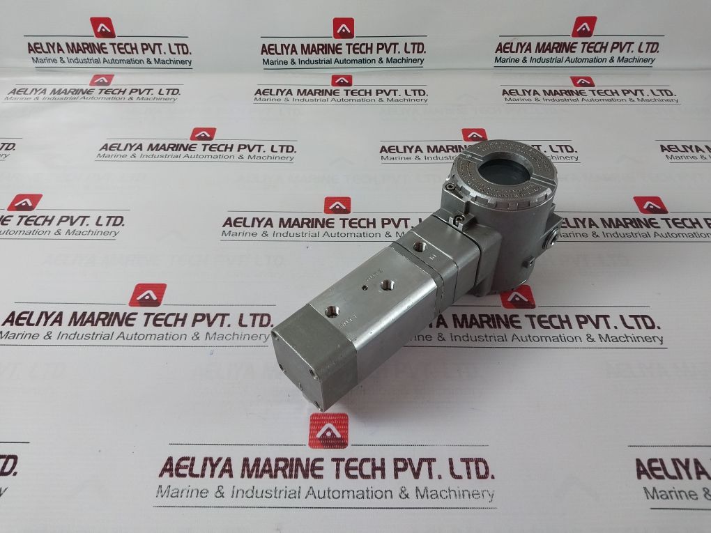 Smar Revil 14521 Transducer