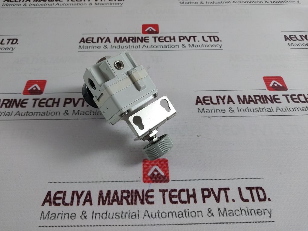 Smc I-ir2000-f02Bg1 Precision Regulator