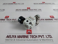 Smc I-ir2000-f02Bg1 Precision Regulator