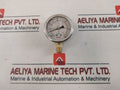 Span Hitek Pgs Pressure Gauge